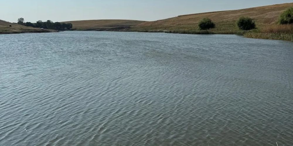 poaza cu Balta Fratesti Feeder Paradise