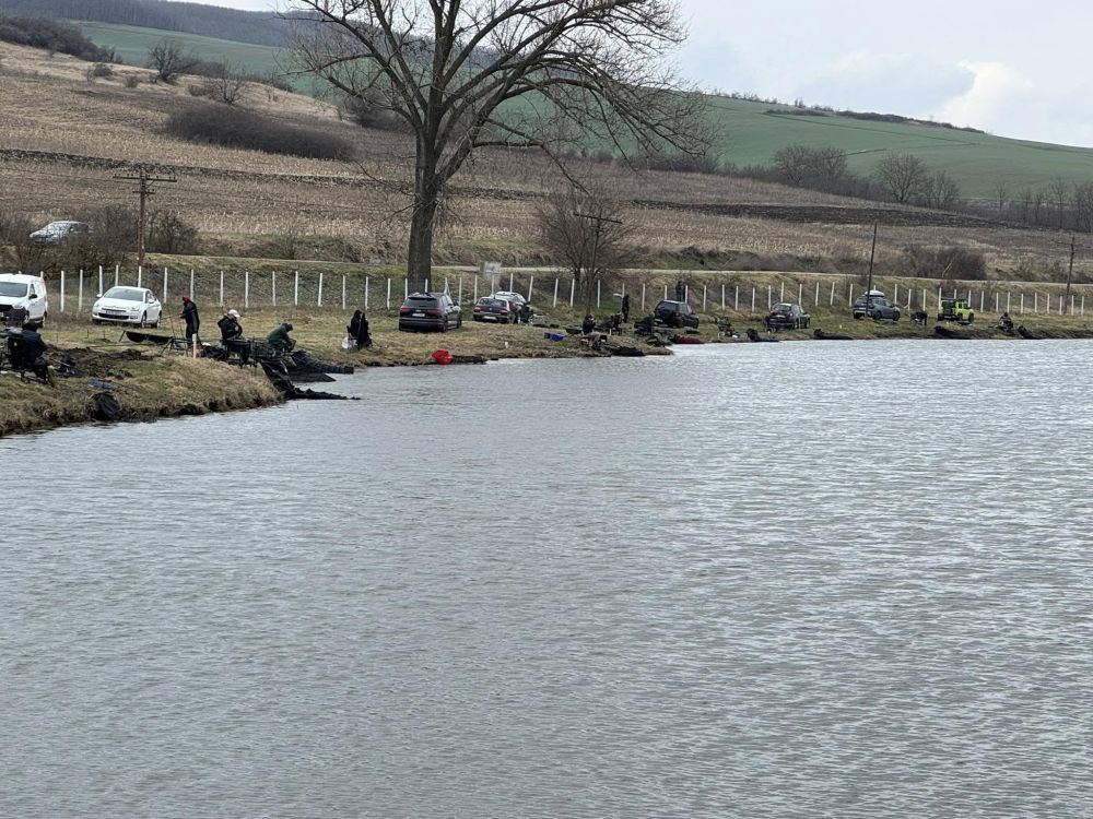 poaza cu Lacul Gugești