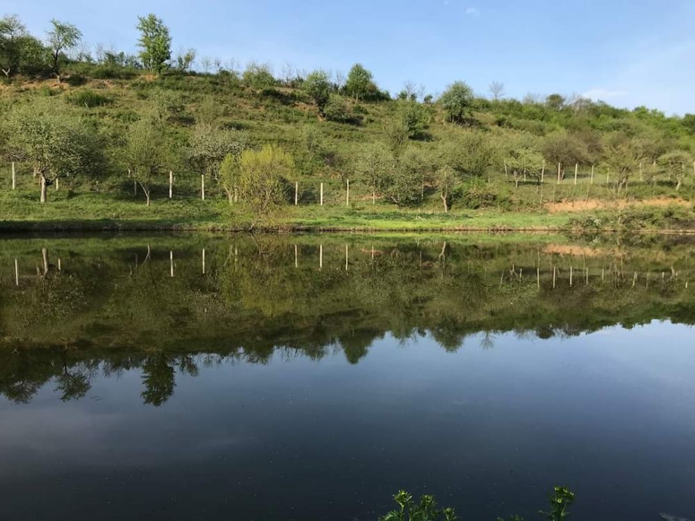 poaza cu Balta Sanmarghita Mica