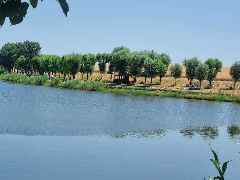 poaza cu Balta Calareti Pepiniera