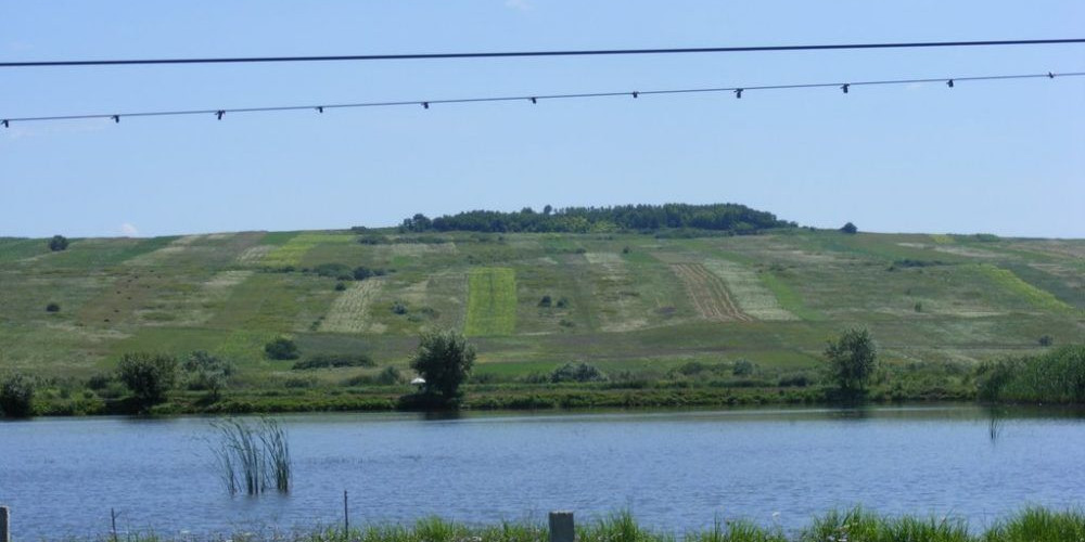 Pescuit sportiv Complex  Arinis