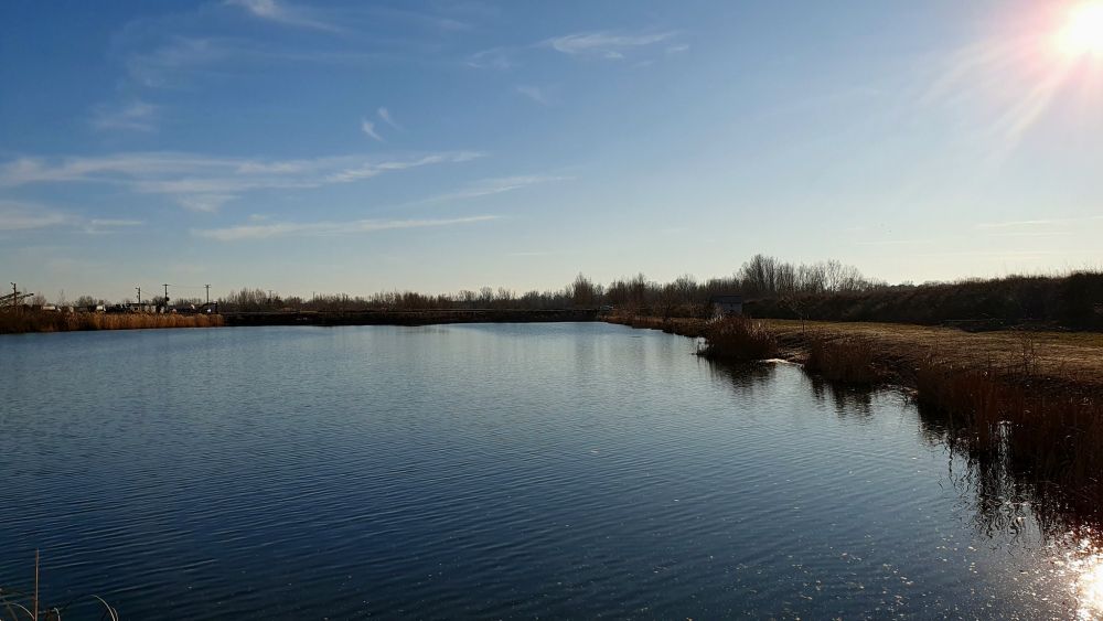 Pescuit sportiv Balta Noua Cateasca - la Cornel