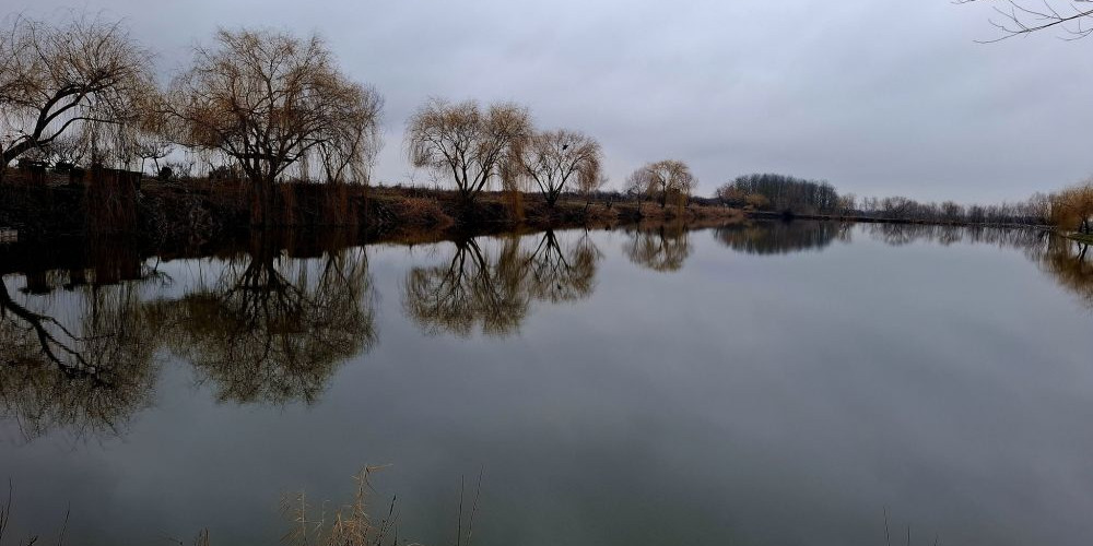 poaza cu Balta Zabrani