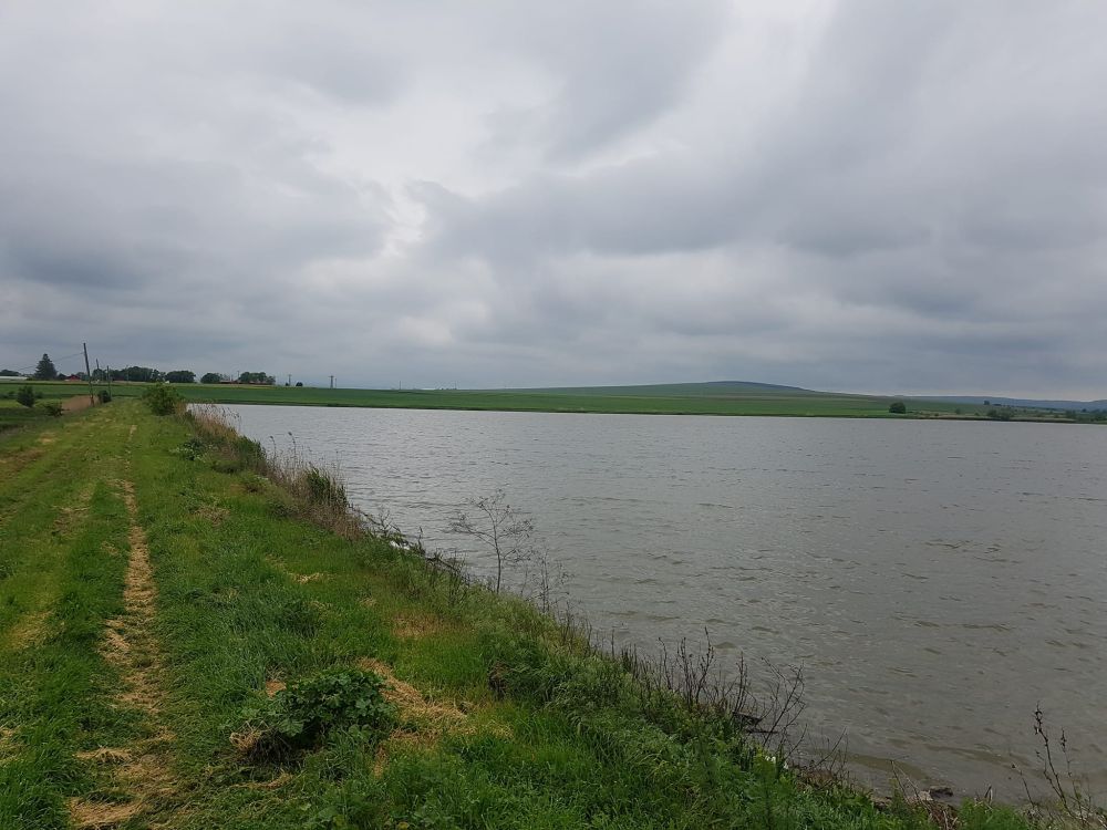 poaza cu Balta Negresti