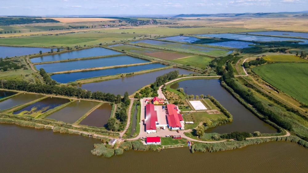 Pescuit sportiv Balta Larga Jijia