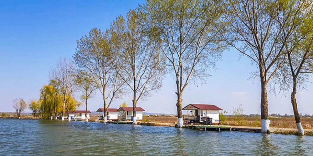 poaza cu Balta New Lake lazuri 5