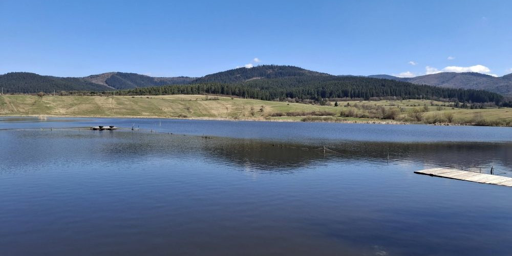 poaza cu Balta Lac Chiurus